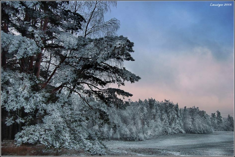 Однажды в студеную зимнюю пору...