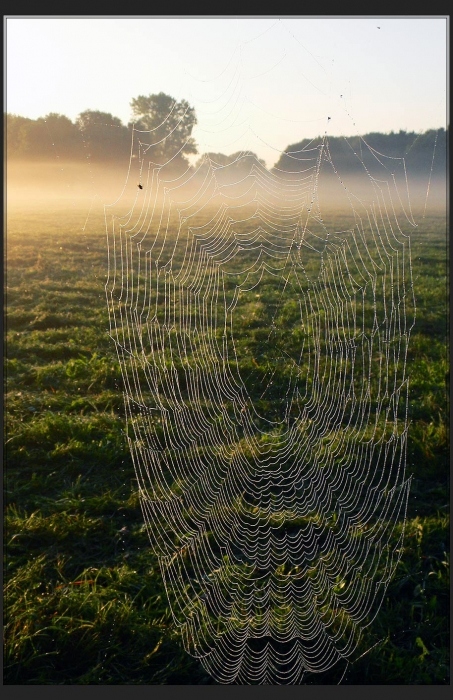 Утренний улов