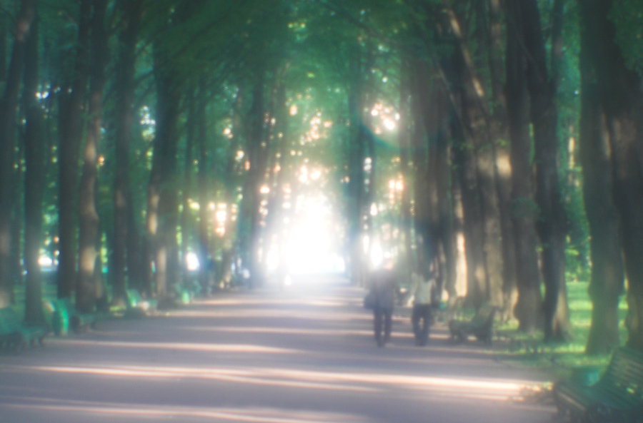 в летнем саду...