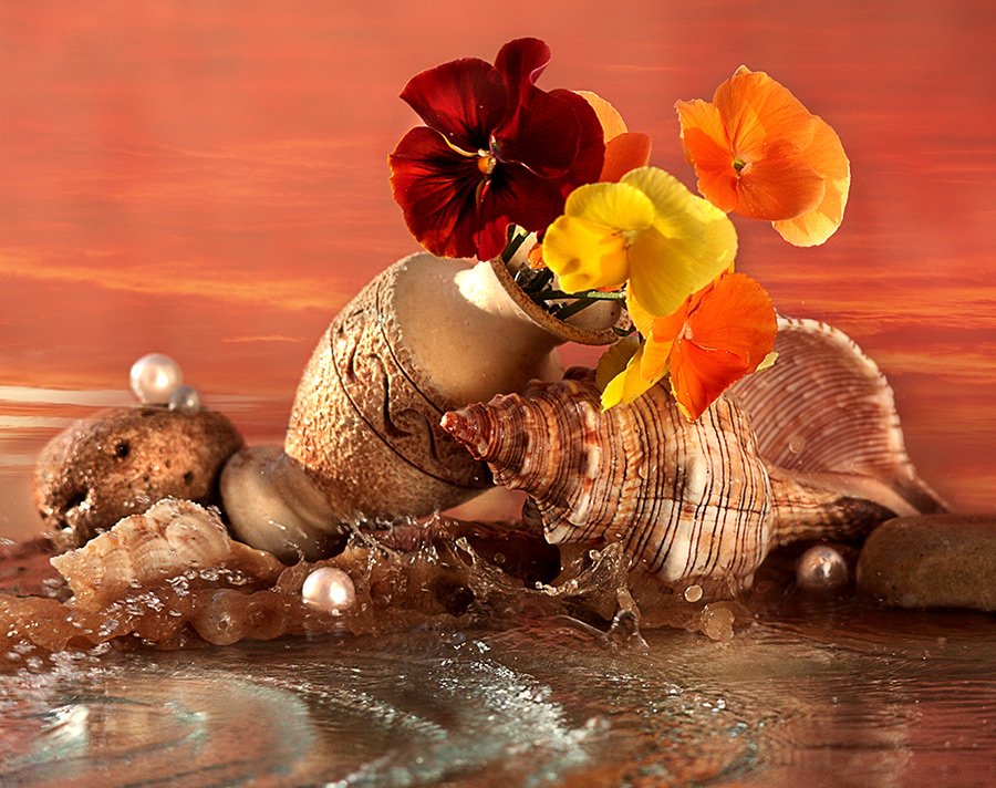 Мечта о море