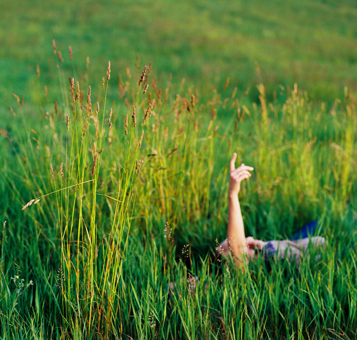 Лето.Вечер.Самолёты.