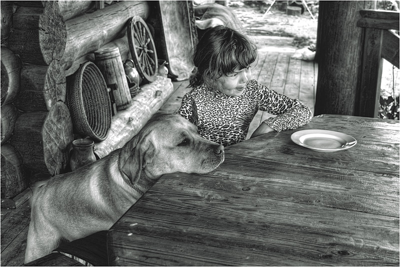 А где моя тарелка?