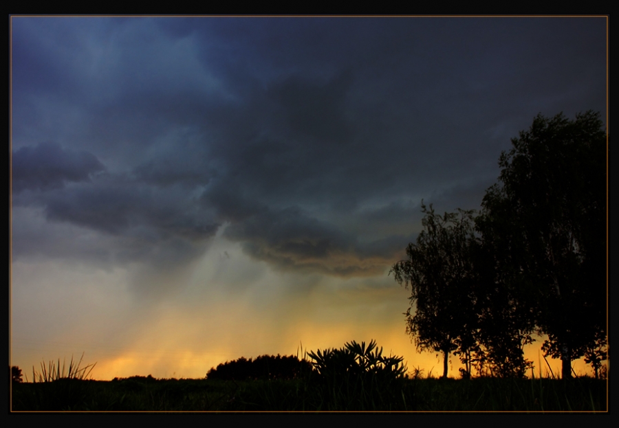 За пять минут до дождя.