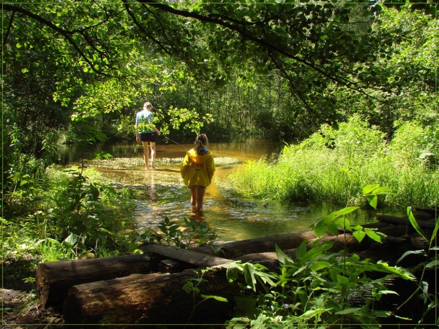 В поиске "золотой рыбки"