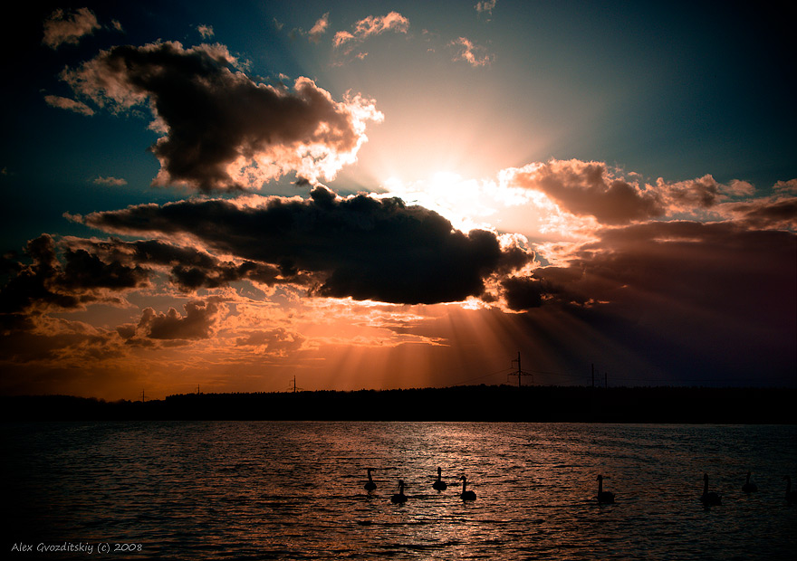 Лебединое озеро