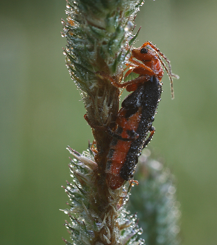 ...холодно, сыро...