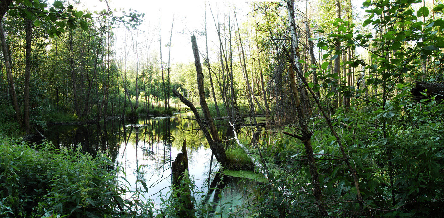 Нехожеными тропами...