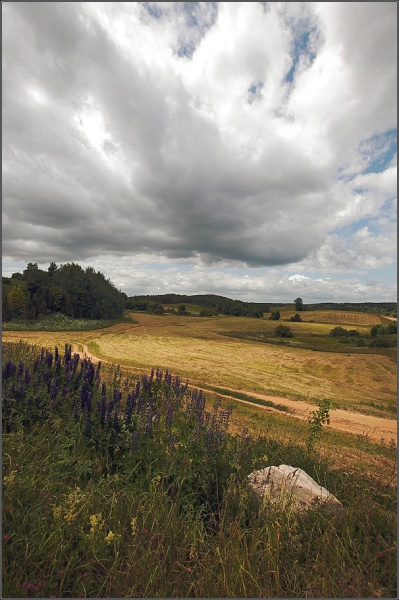 Ощущение времени