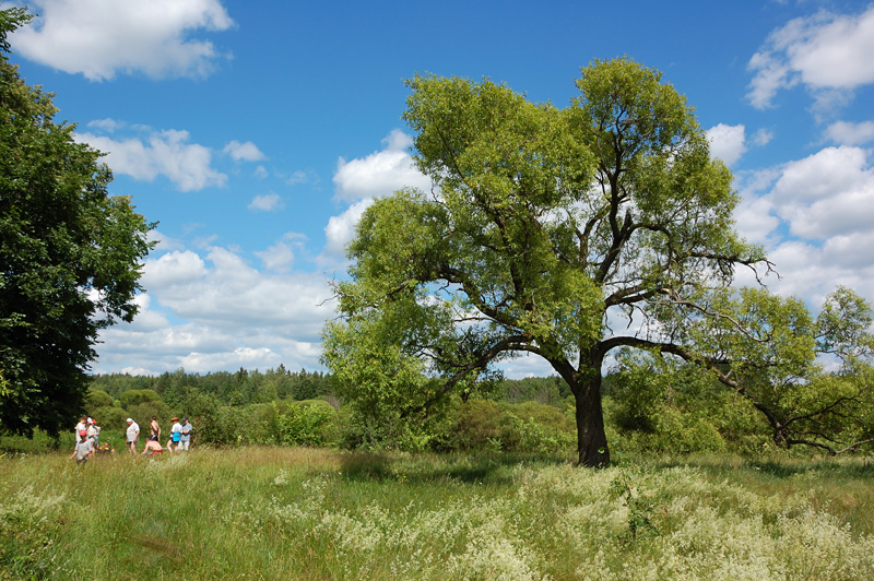 Хорошо стоим)