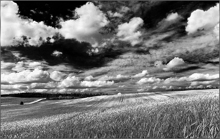 Хмурый пейзаж