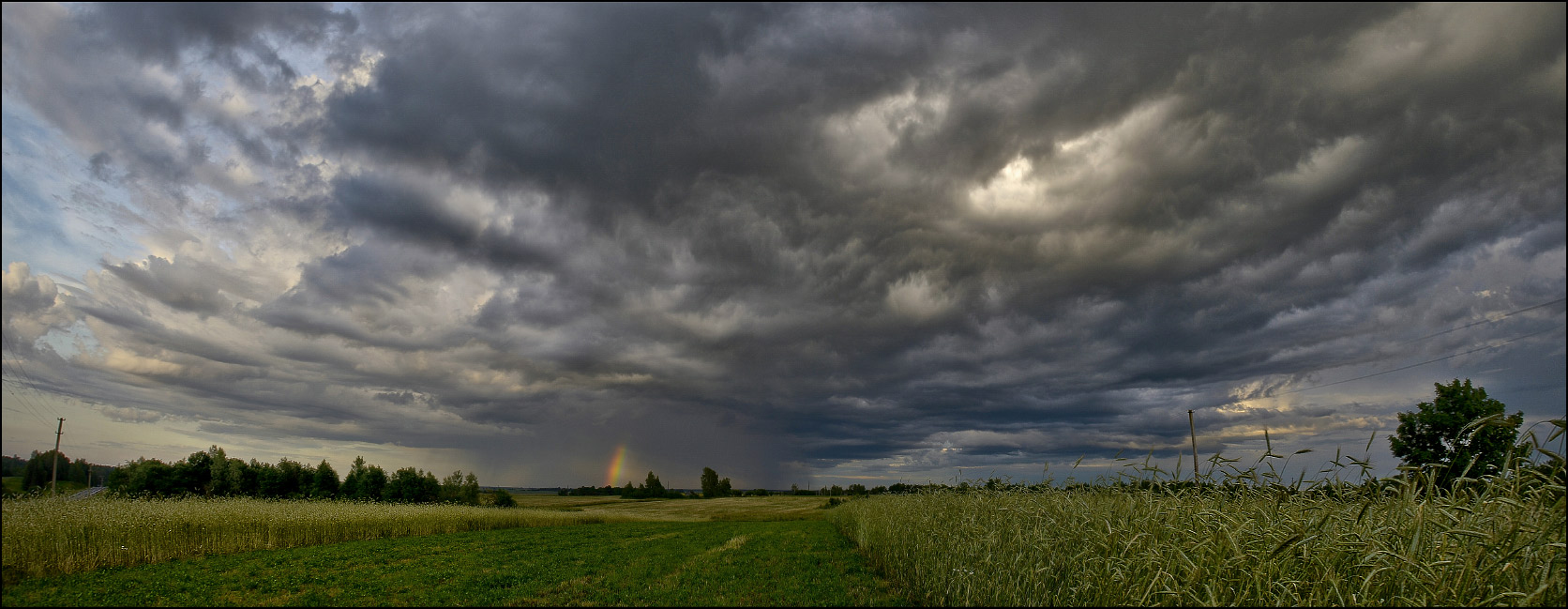 Сердце бури