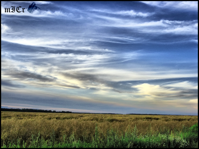 Der Himmel und das Feld