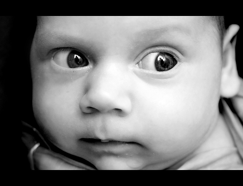 пытаясь понять этот мир