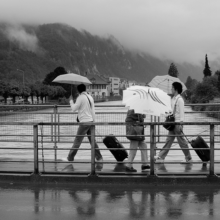 Под дождиком