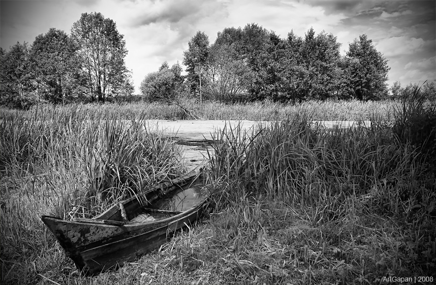 Стало черно-белое...