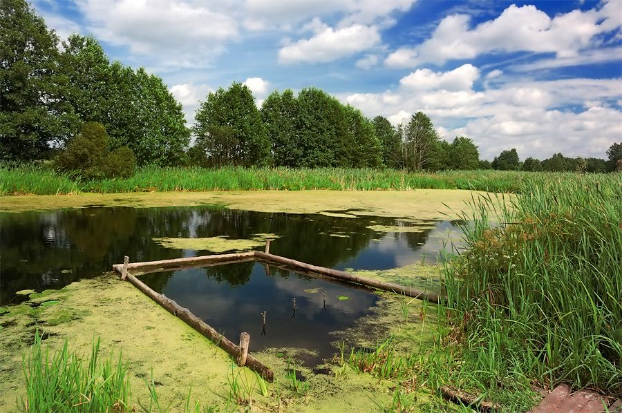 Летние мотивы... Неман...