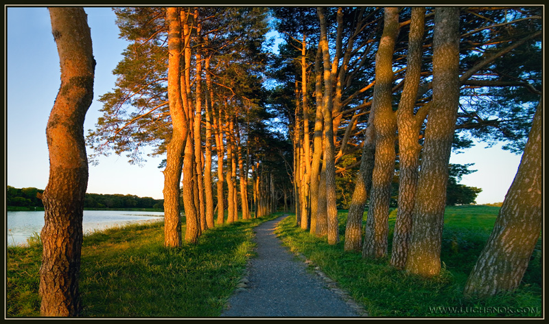 Дорожка в Мире