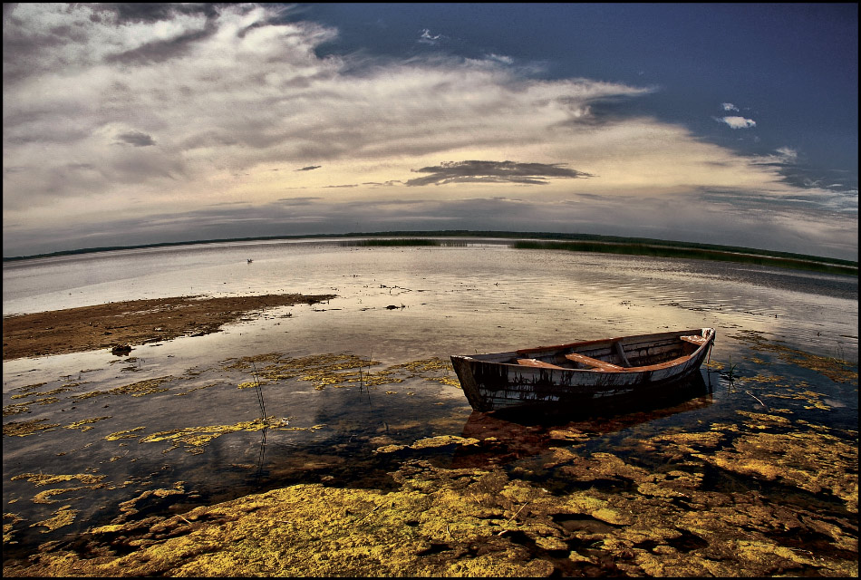 Мечтая о море...