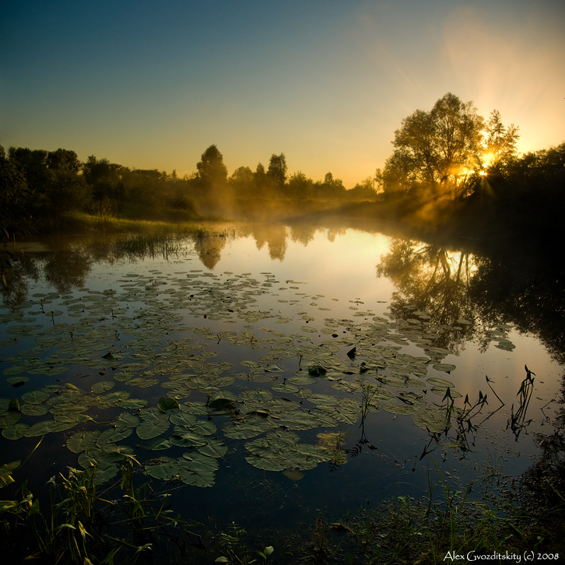 Рассветная