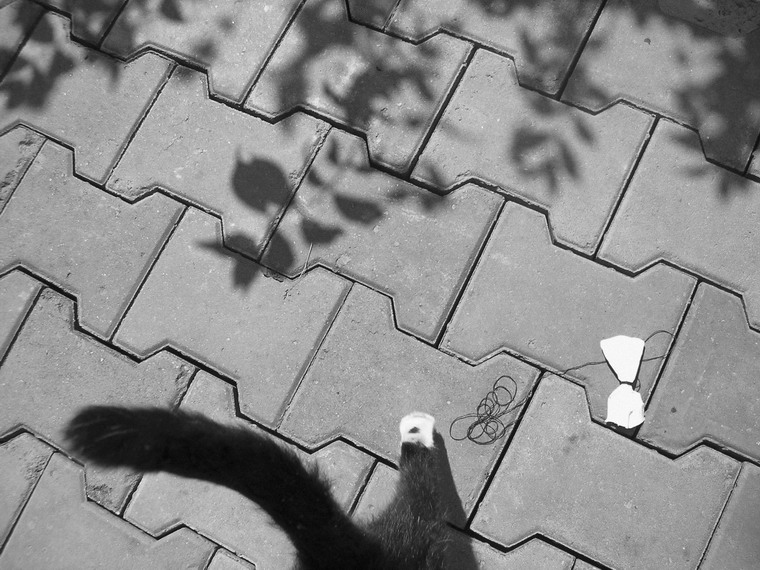 не хочу играть.