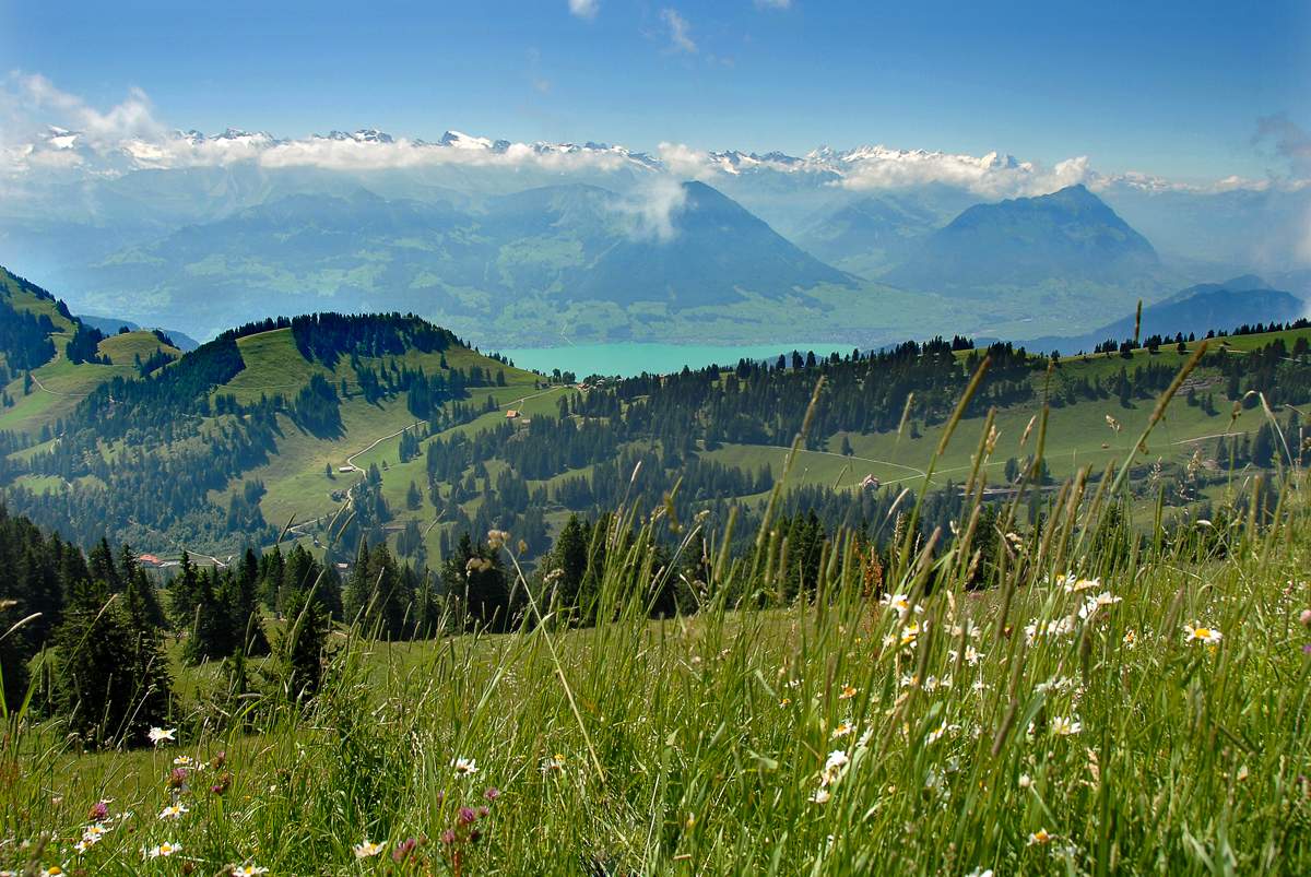 Альпийская картинка