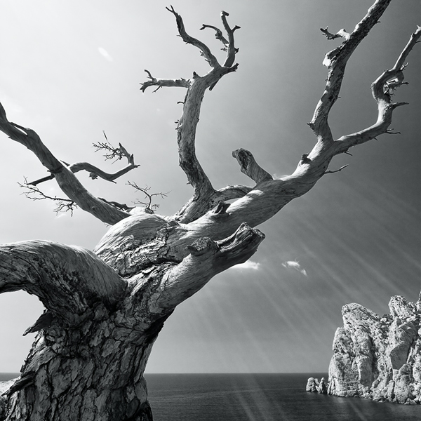 Пейзаж Крымского Друида