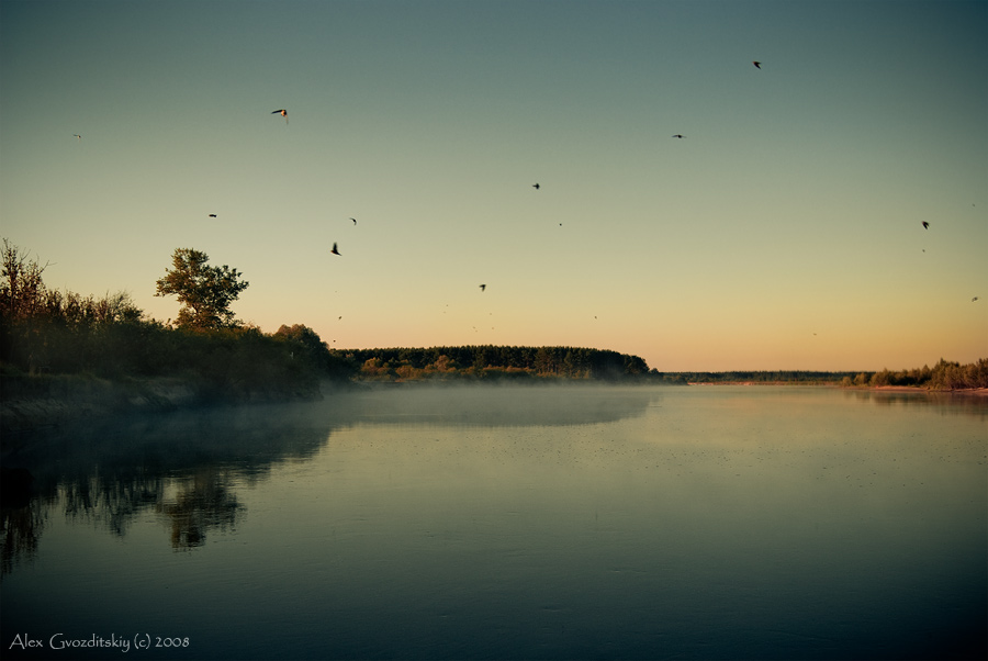 Ласточкин завтрак