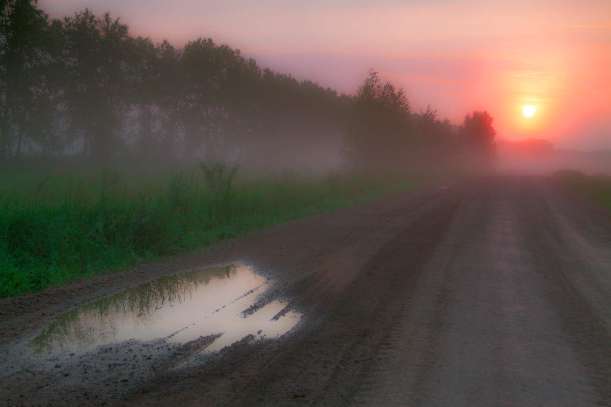После дождя