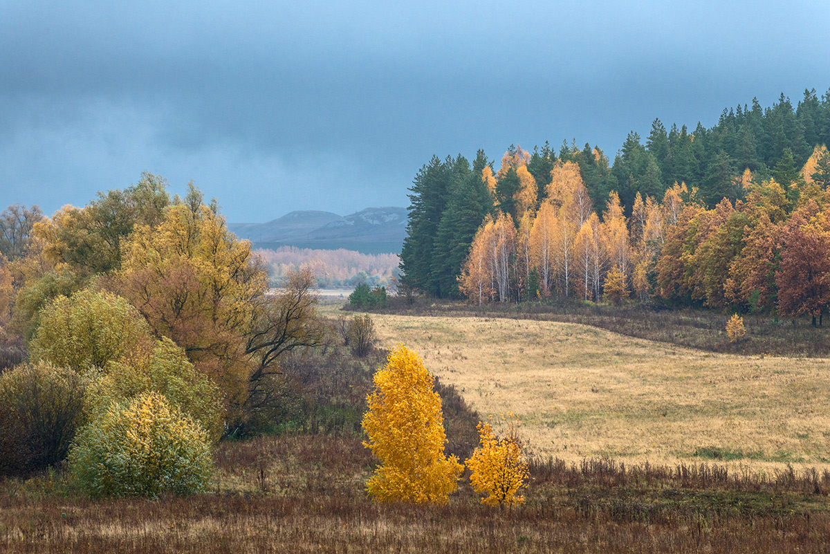 Дожди, дожди...