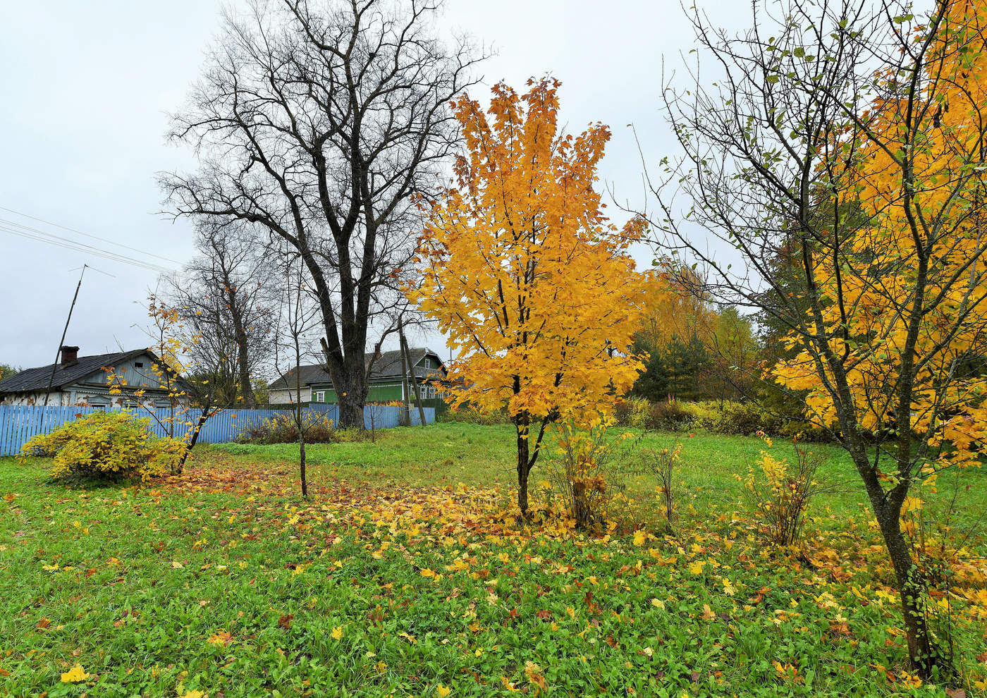 Месяц падающих листьев ...