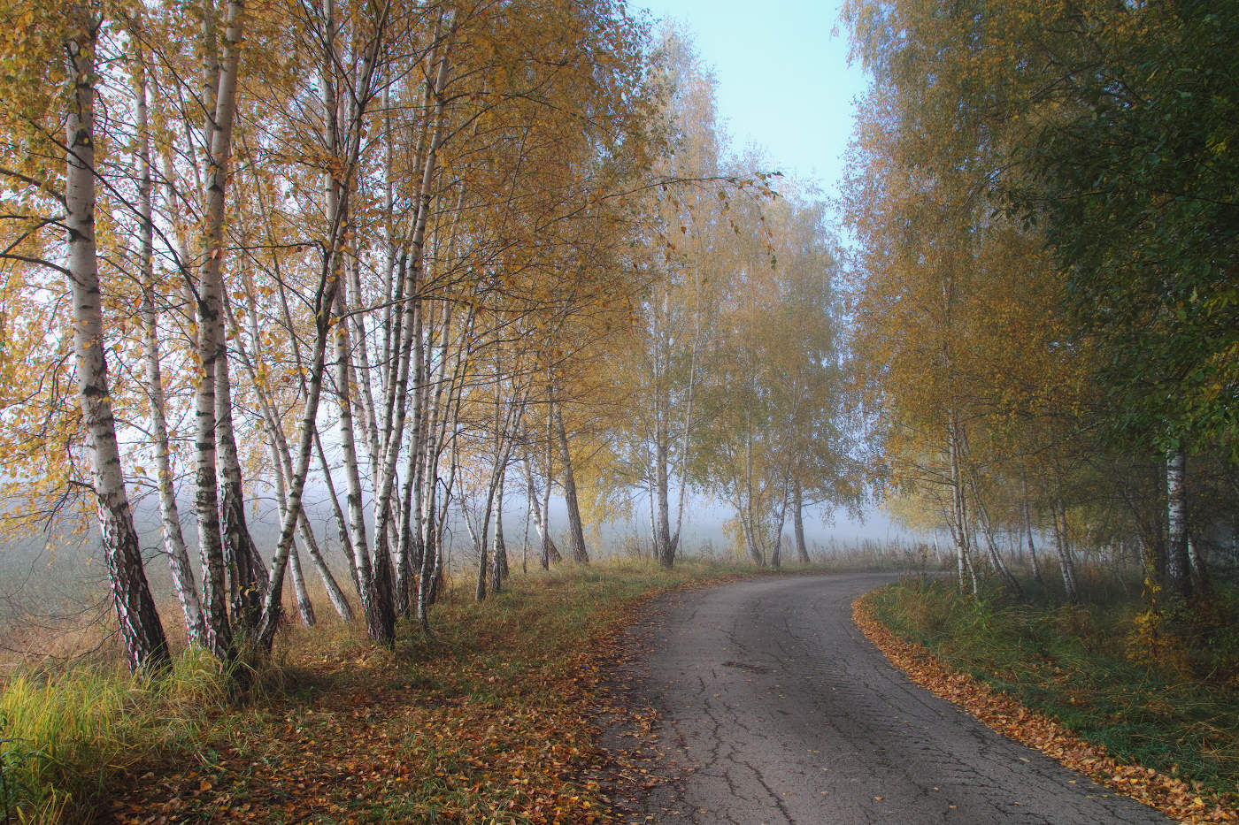 ДорОгой осени...