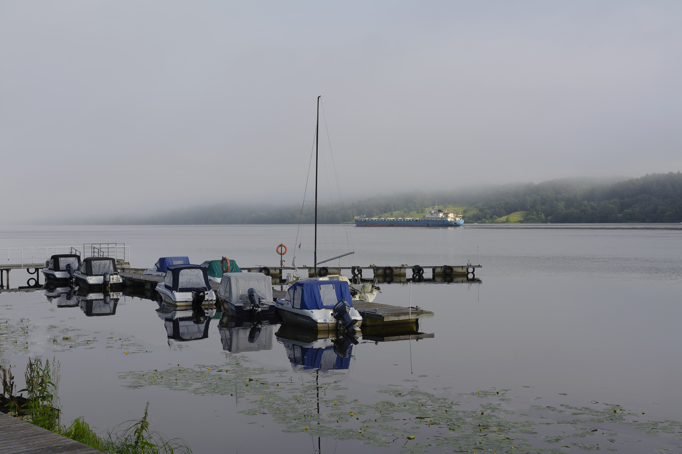 утренний туман...