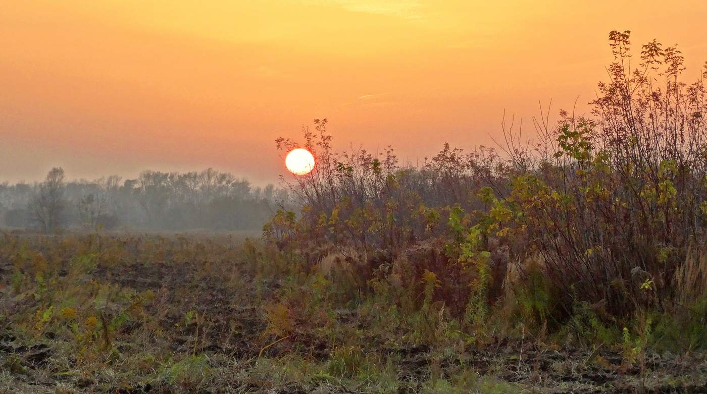 Осенний закат солнца