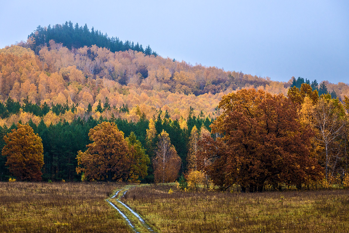 Краски осени...