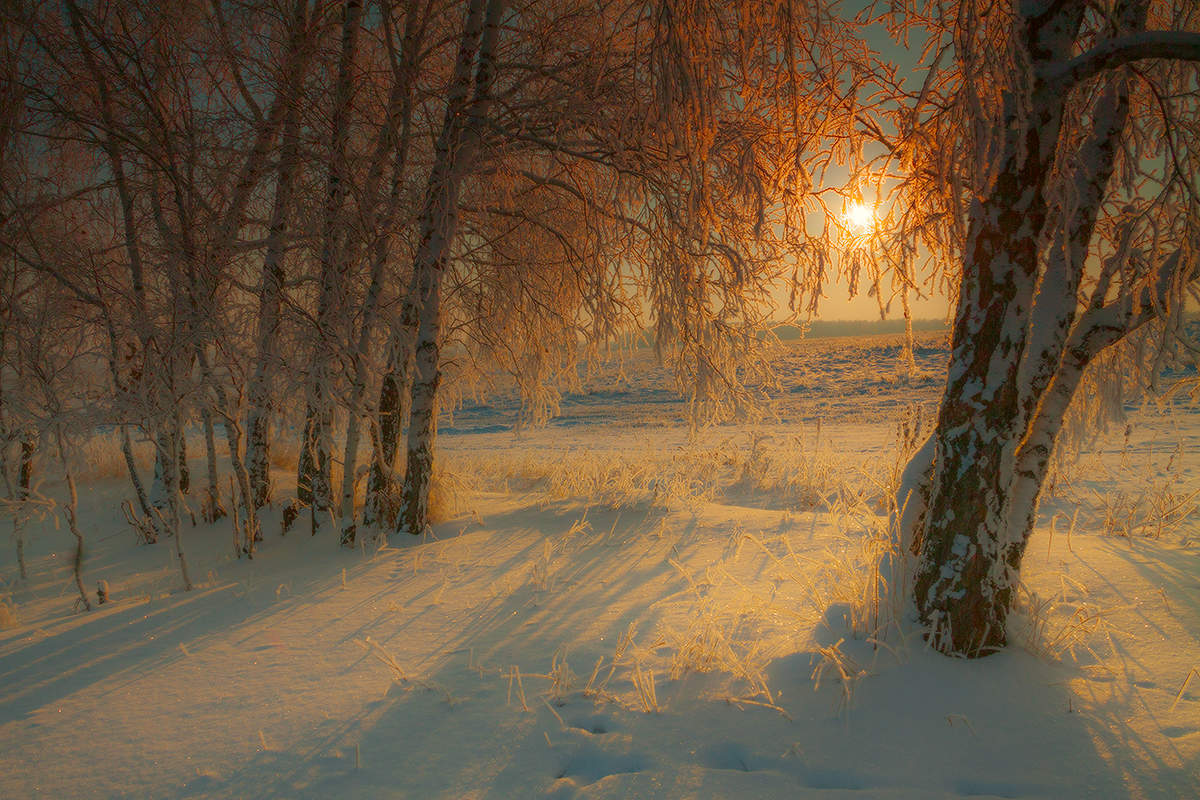 В контровом (1)