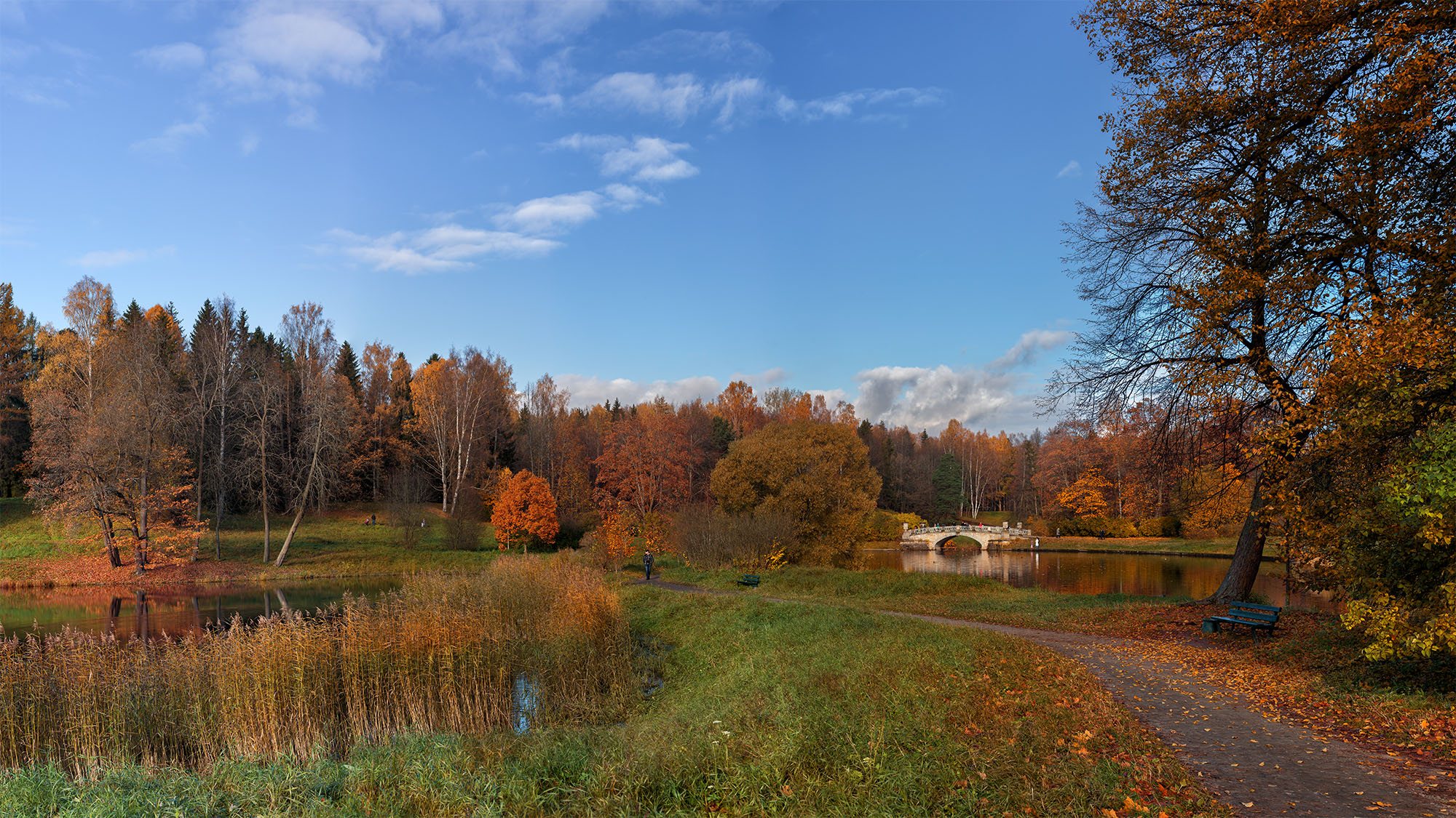 Октябрь уж наступил...