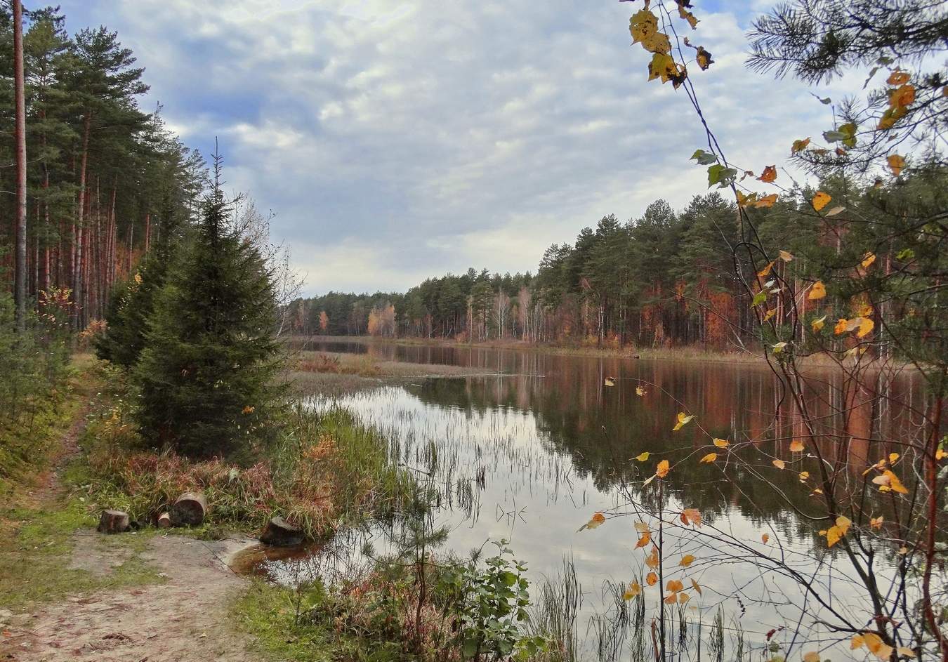 Хмурый осенний день на озере