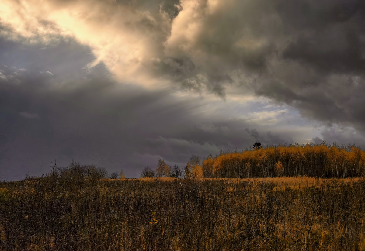 "Лицом к лицу зима и осень. Фронт".