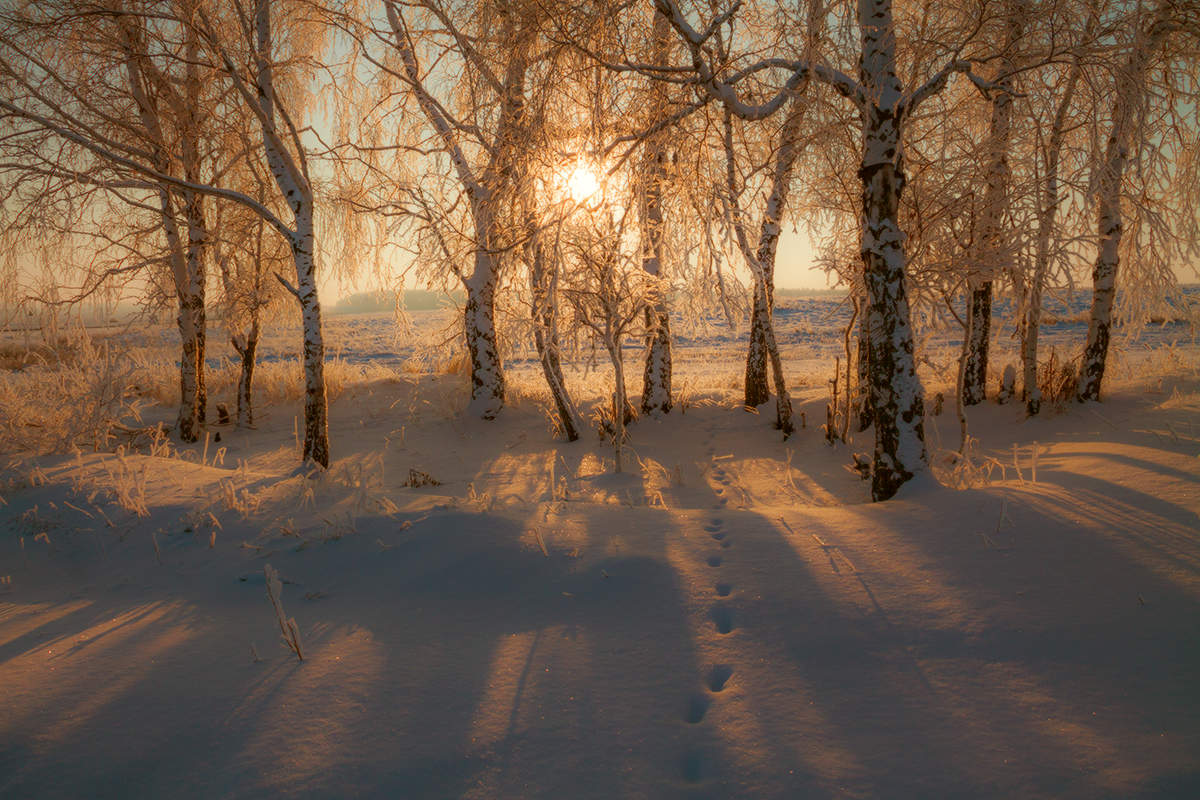 В контровом(2)