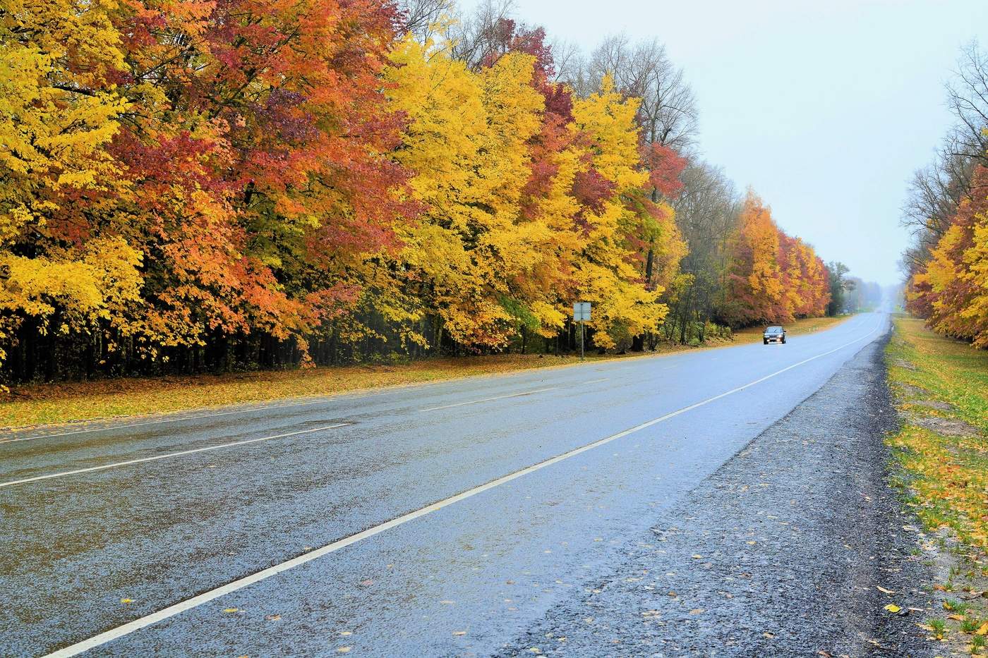 "По дороге в Загорск ..."