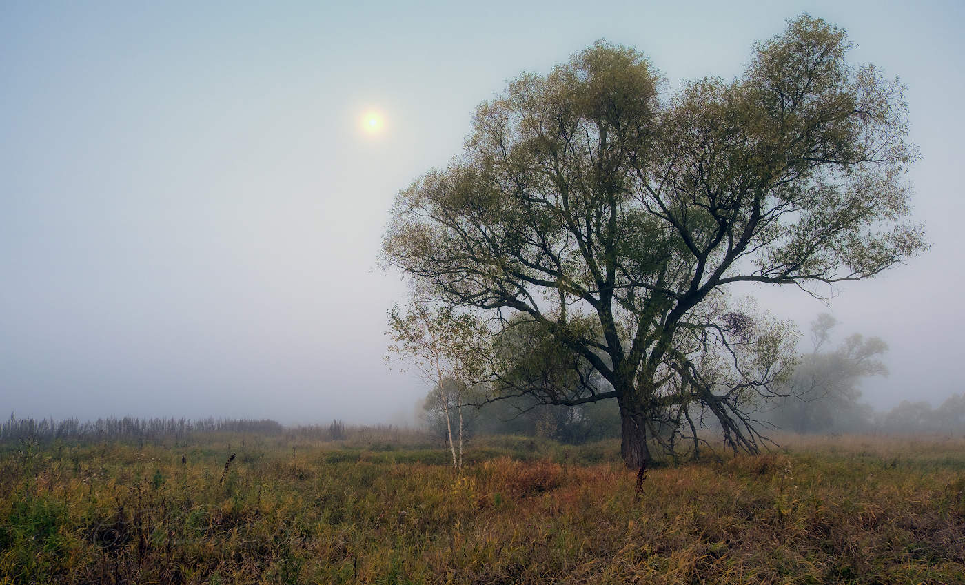 Туманное утро осенью