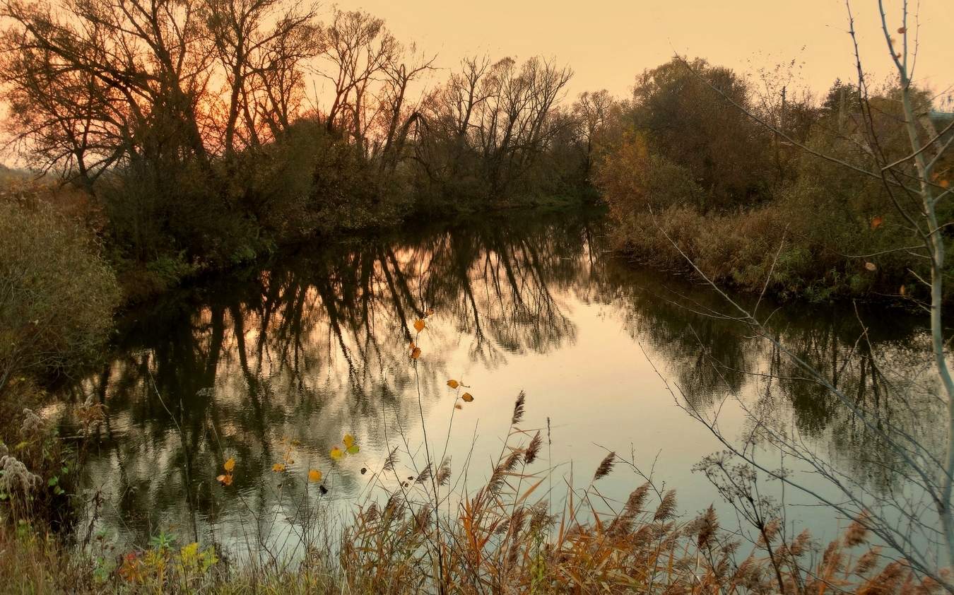 Вечерняя осенняя река