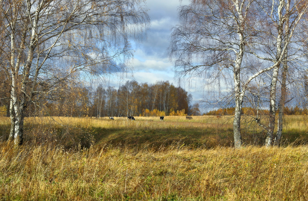 Осенний моцион