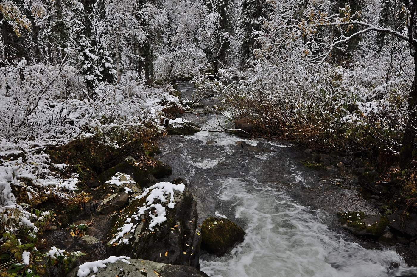 Куприяновский ручей