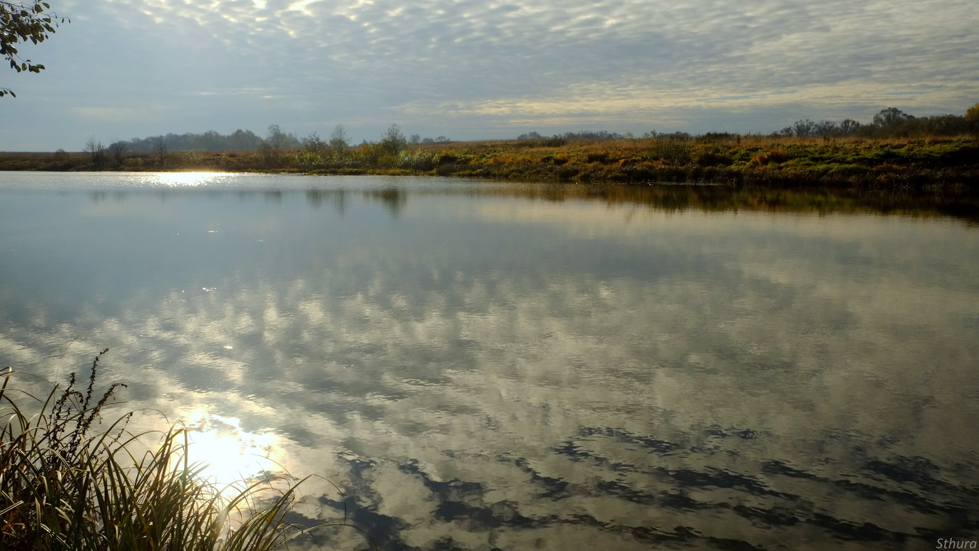 Осеннее утро.