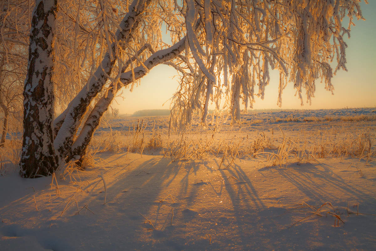 В контровом (3)