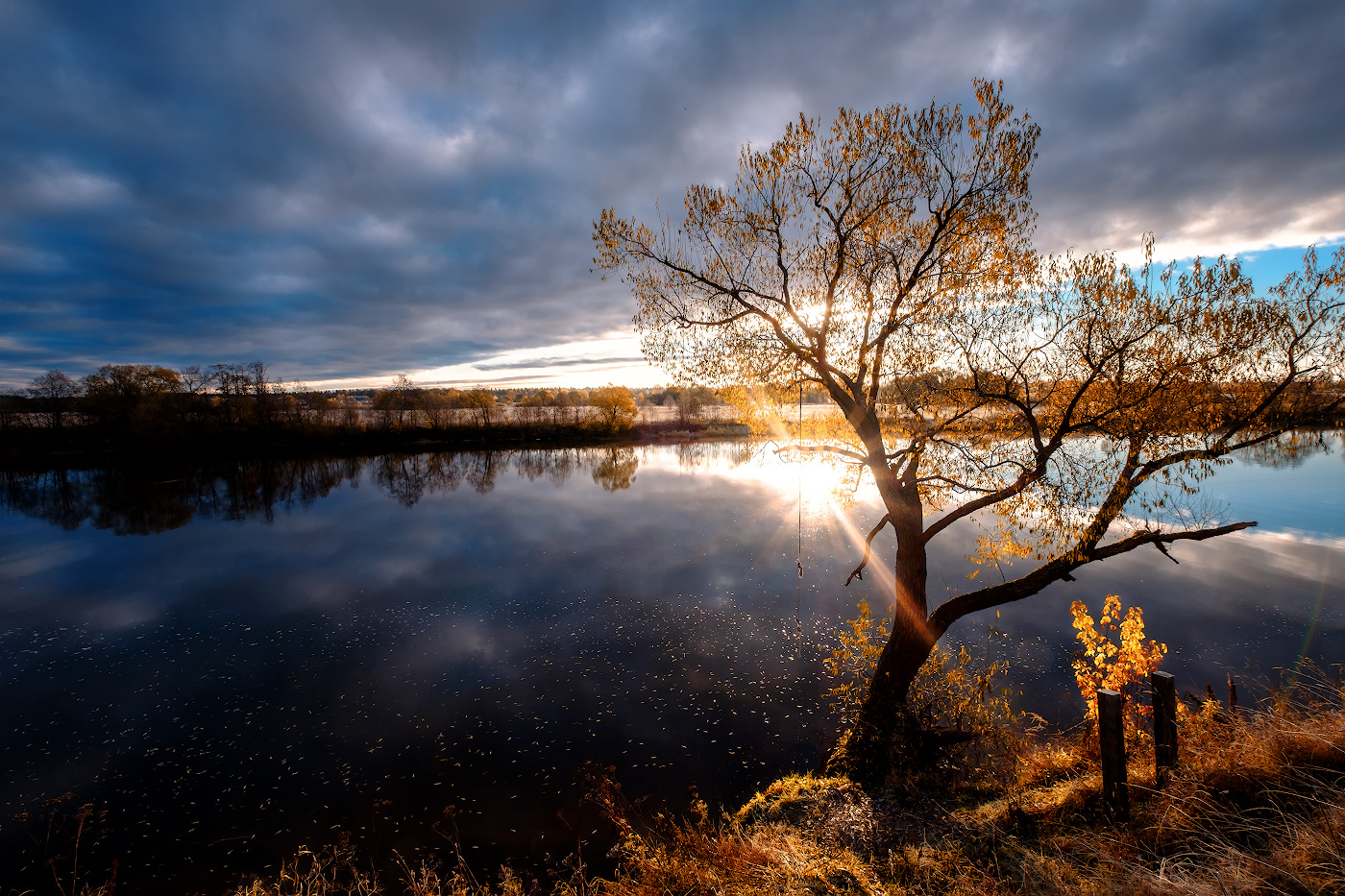 Брошенная тарзанка