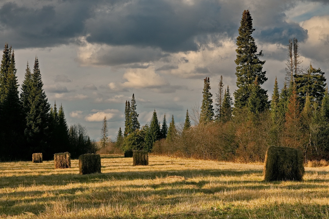 *КОНЕЦ ОКТЯБРЯ