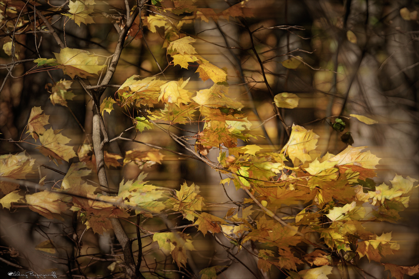 Уносила осень...