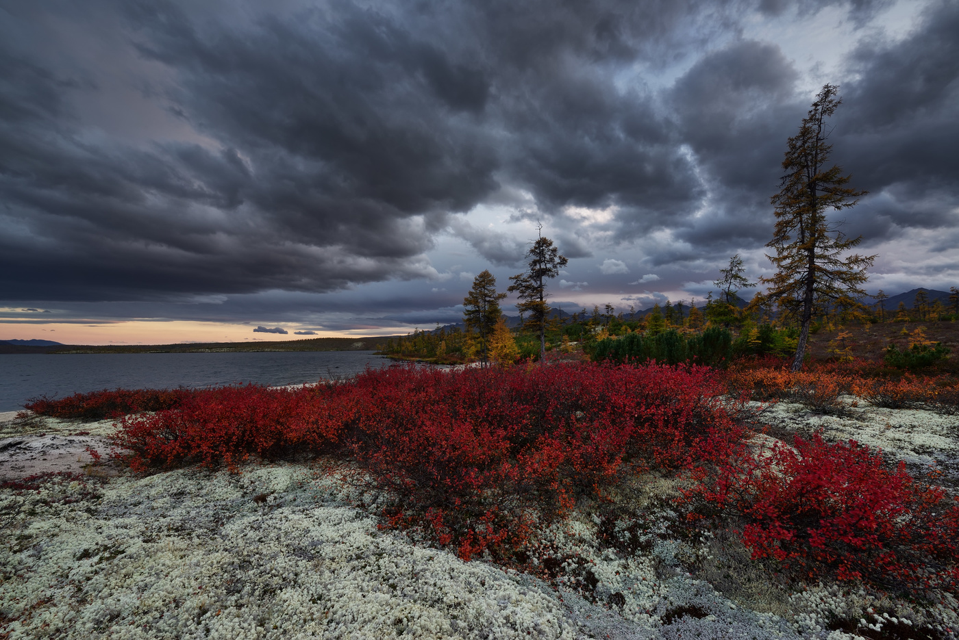 Коса Биологов